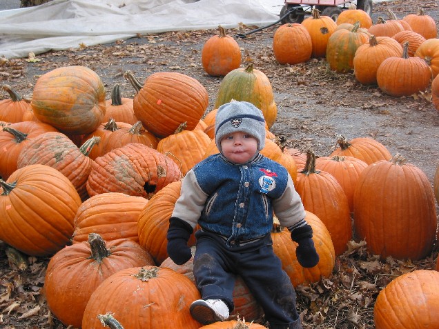 2002octrileypumpkins2.jpg